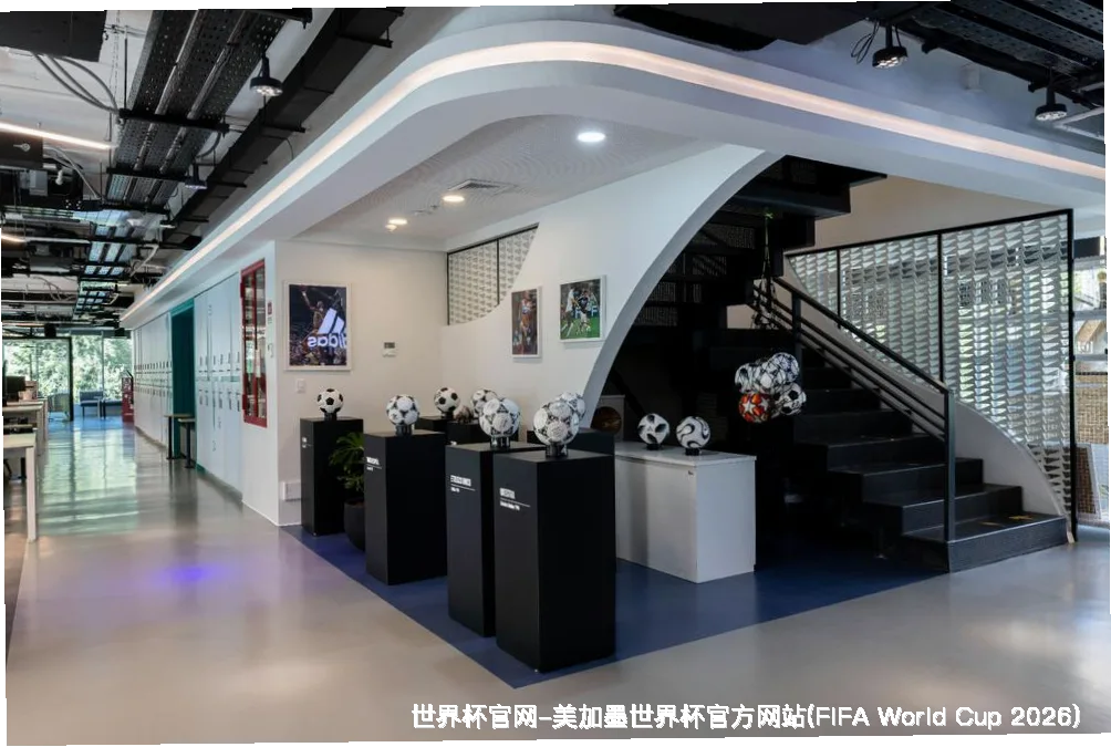 公司介绍